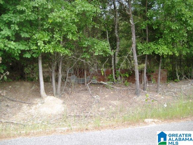 0 Sulphur Springs Road, Unit 10 ACRES Lincoln, AL 35096 - Photo 18 of 32