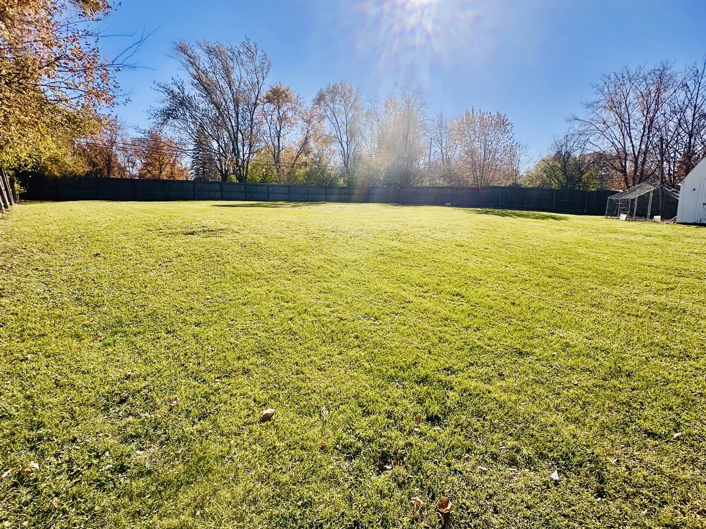 4501 185th Street Country Club Hills, IL 60478 - Photo 5 of 27 a view of yard with large trees