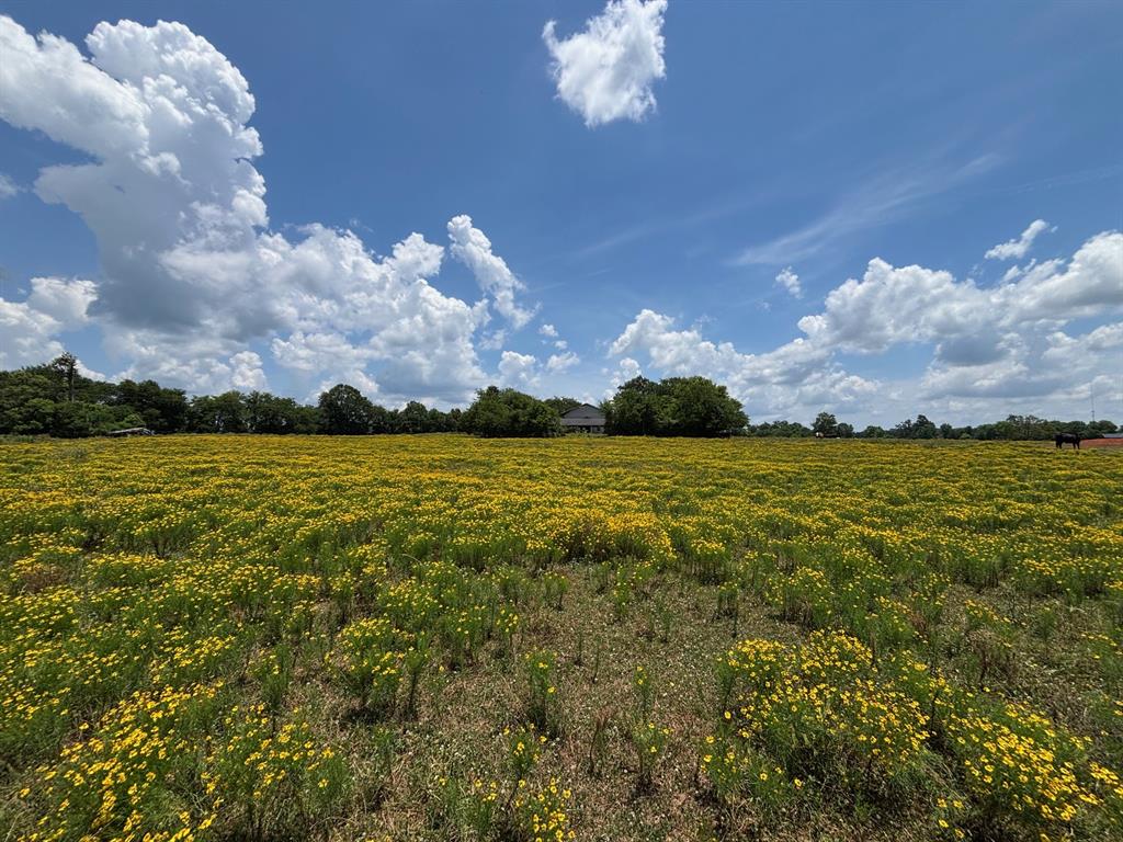 3834 Fenley Flat Road Pollok, TX 75969 - Photo 4 of 5