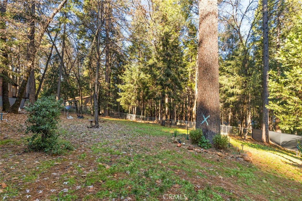 6341 Amherst Way Magalia, CA 95954 - Photo 25 of 28 a view of a tree in a yard