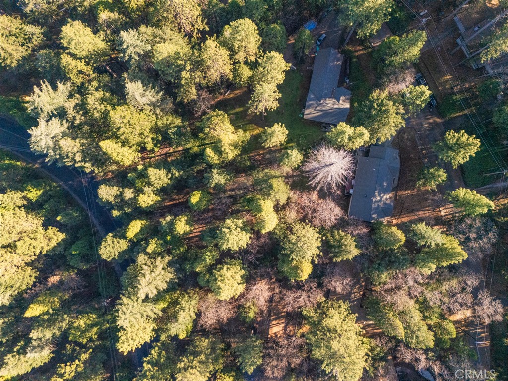 6341 Amherst Way Magalia, CA 95954 - Photo 28 of 28 a view of a tree