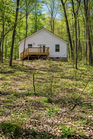 a house that has a tree in front of the house