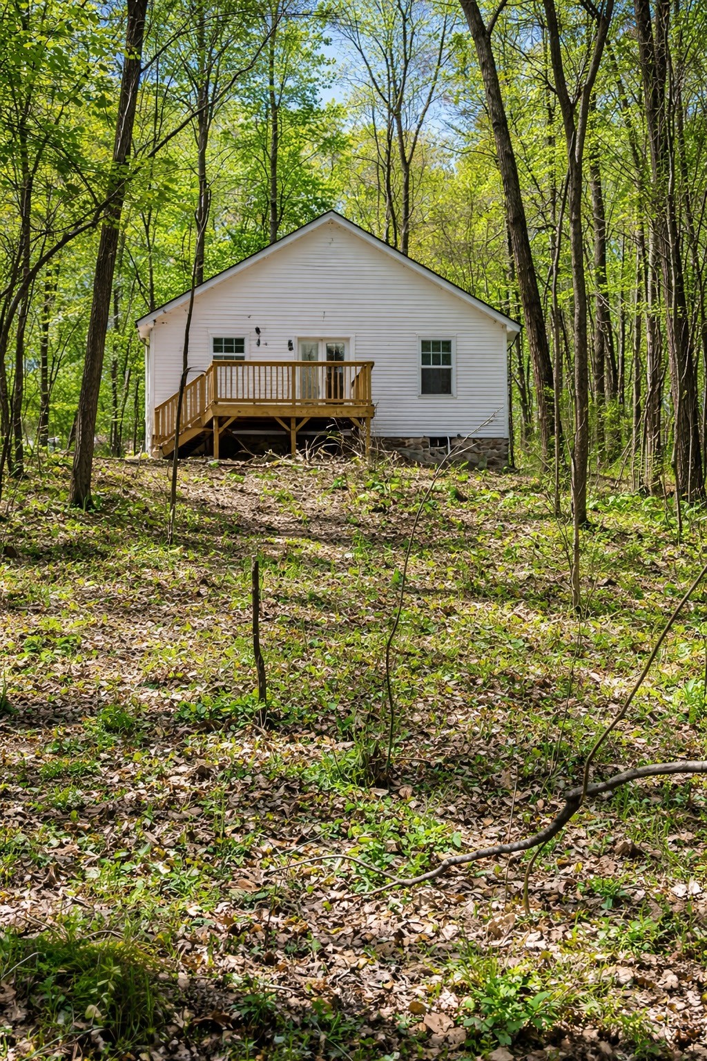 397 Hightower Road Elkton, KY 42220 - Photo 4 of 7 a house that has a tree in front of the house