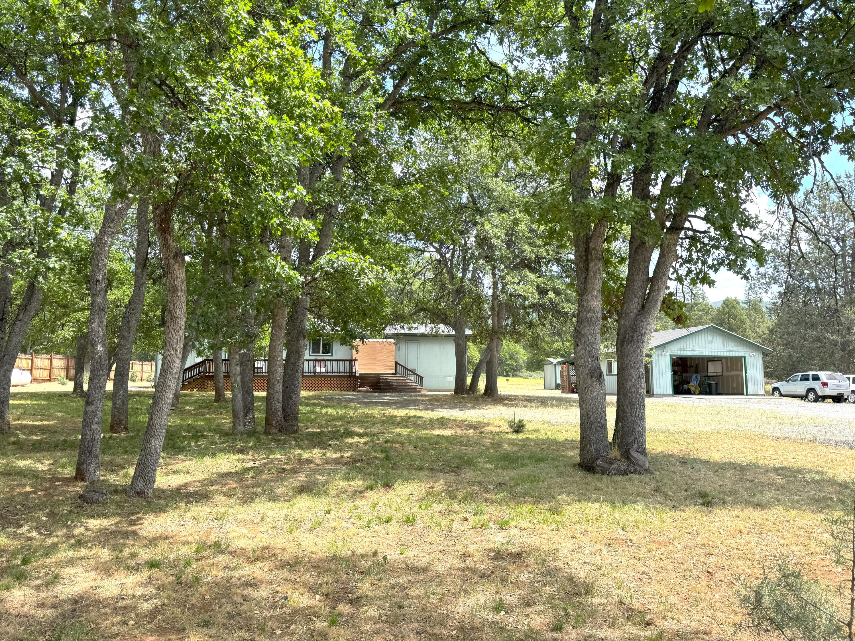 29093 Day Road McArthur, CA 96056 - Photo 3 of 39 a view of a yard with a tree