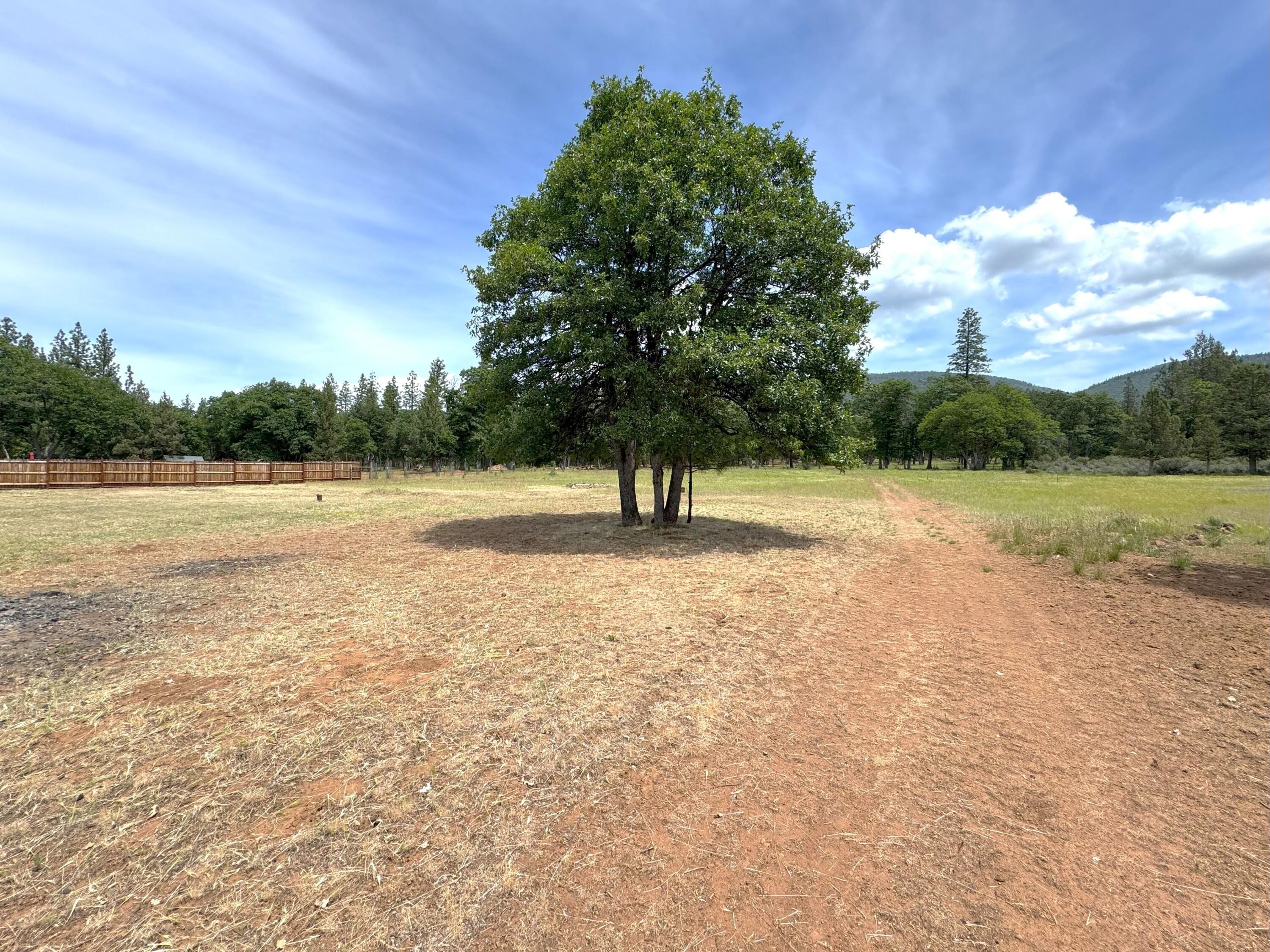 29093 Day Road McArthur, CA 96056 - Photo 39 of 39 a view of outdoor space with garden and trees