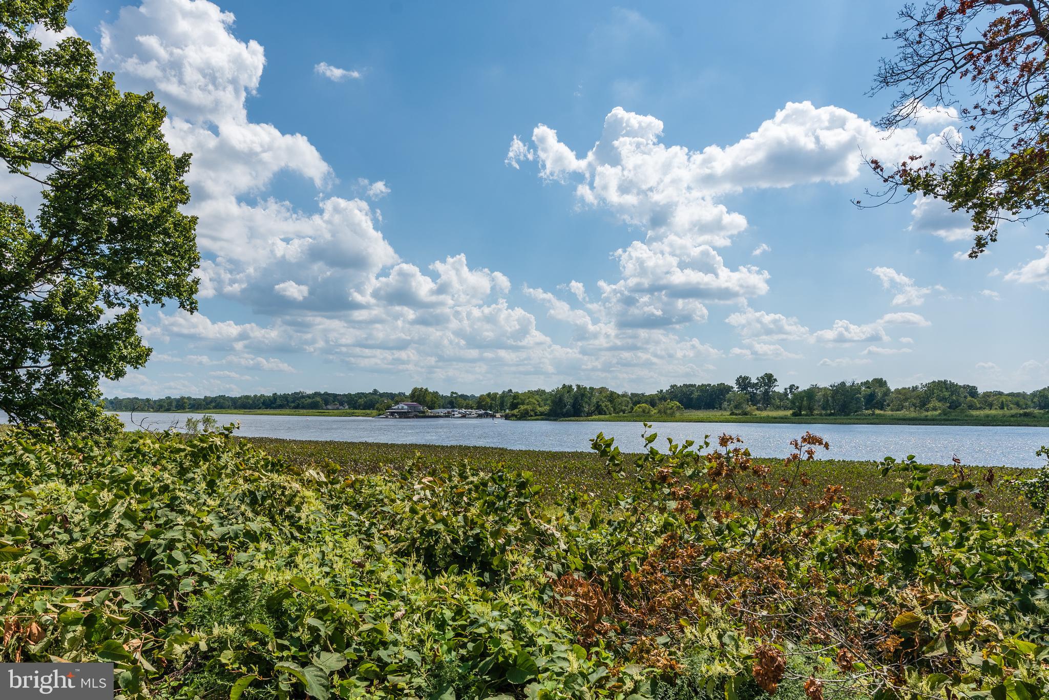 17 Wolverton Place Delanco, NJ 08075 - Photo 29 of 31 View of River from Development