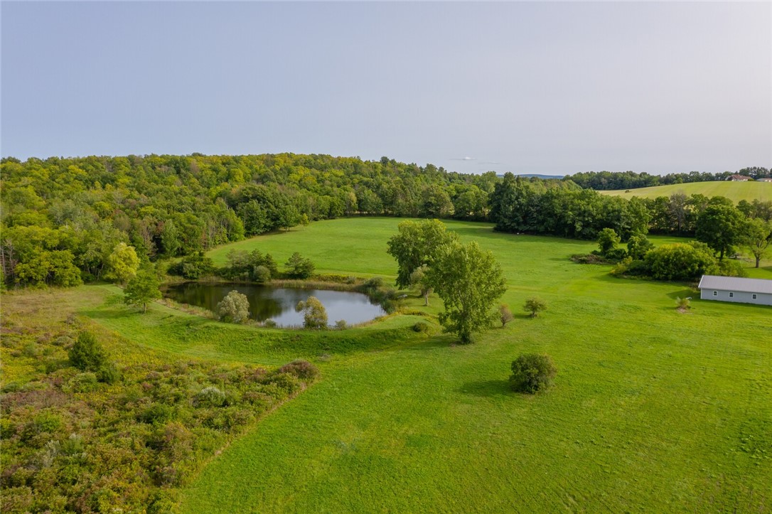 3663 County Road 40 Richmond, NY 14469 - Photo 43 of 50