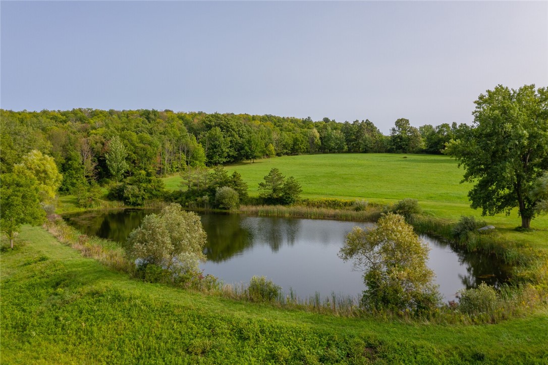 3663 County Road 40 Richmond, NY 14469 - Photo 44 of 50