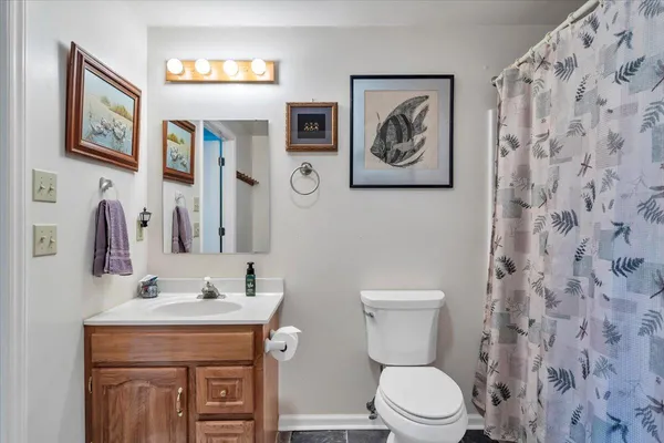 $1,349,999 | 56 Brookside Lane, Moneta, VA 24121