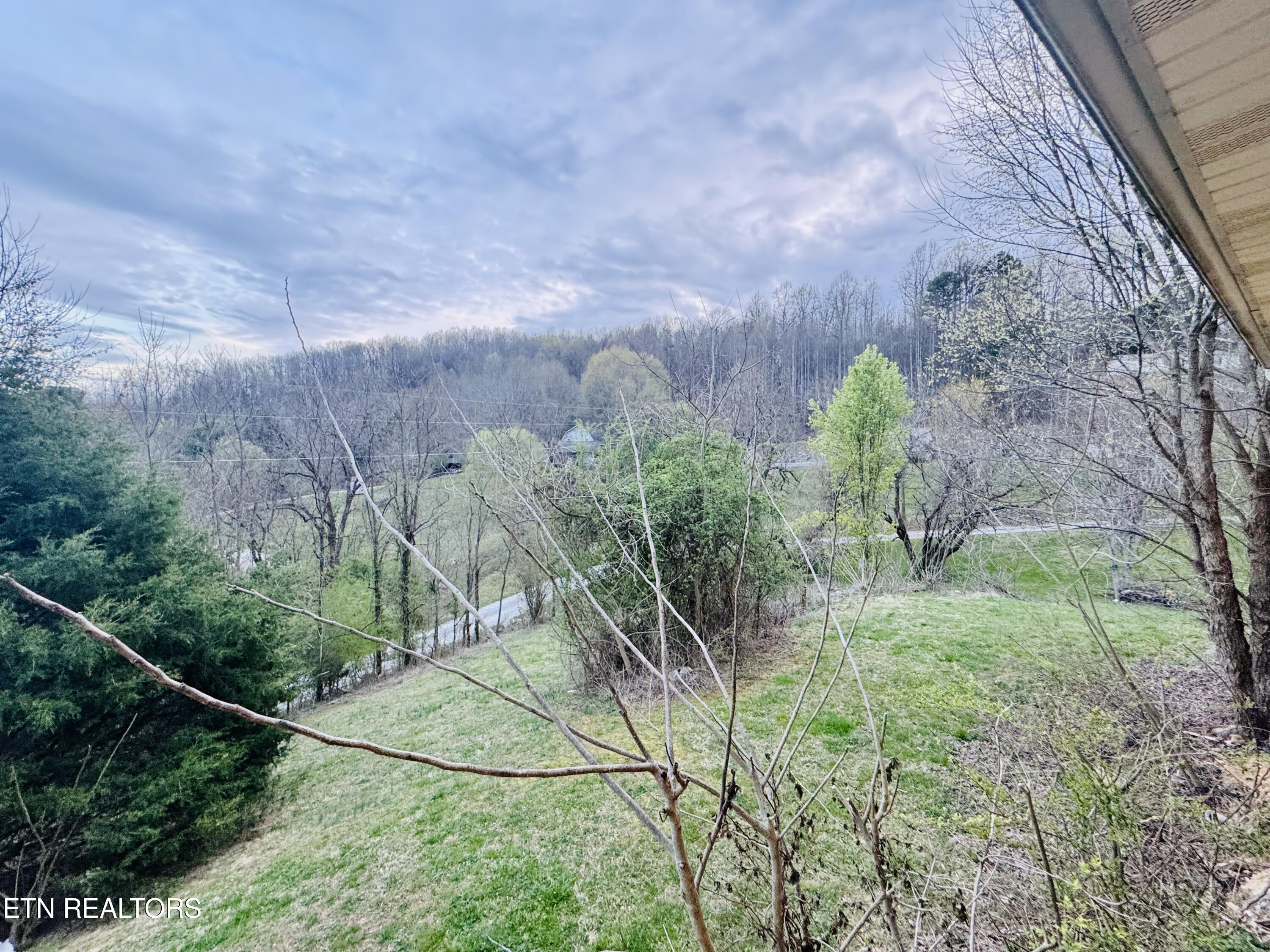 690 Ridge Road Caryville, TN 37714 - Photo 24 of 32 IMG_7940