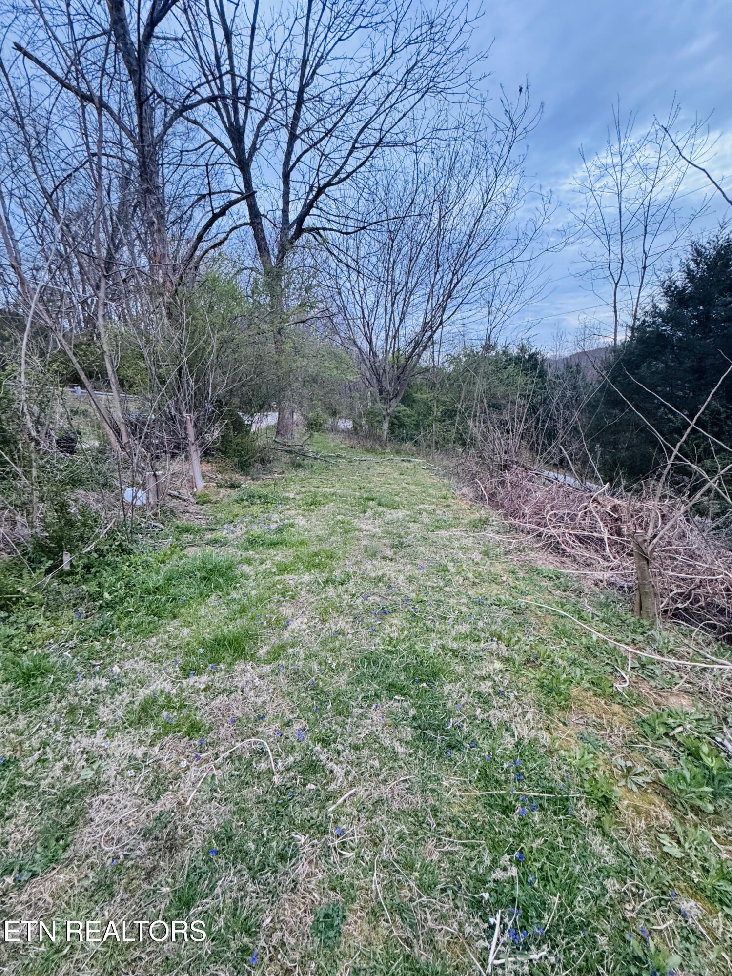 690 Ridge Road Caryville, TN 37714 - Photo 28 of 32 IMG_7960