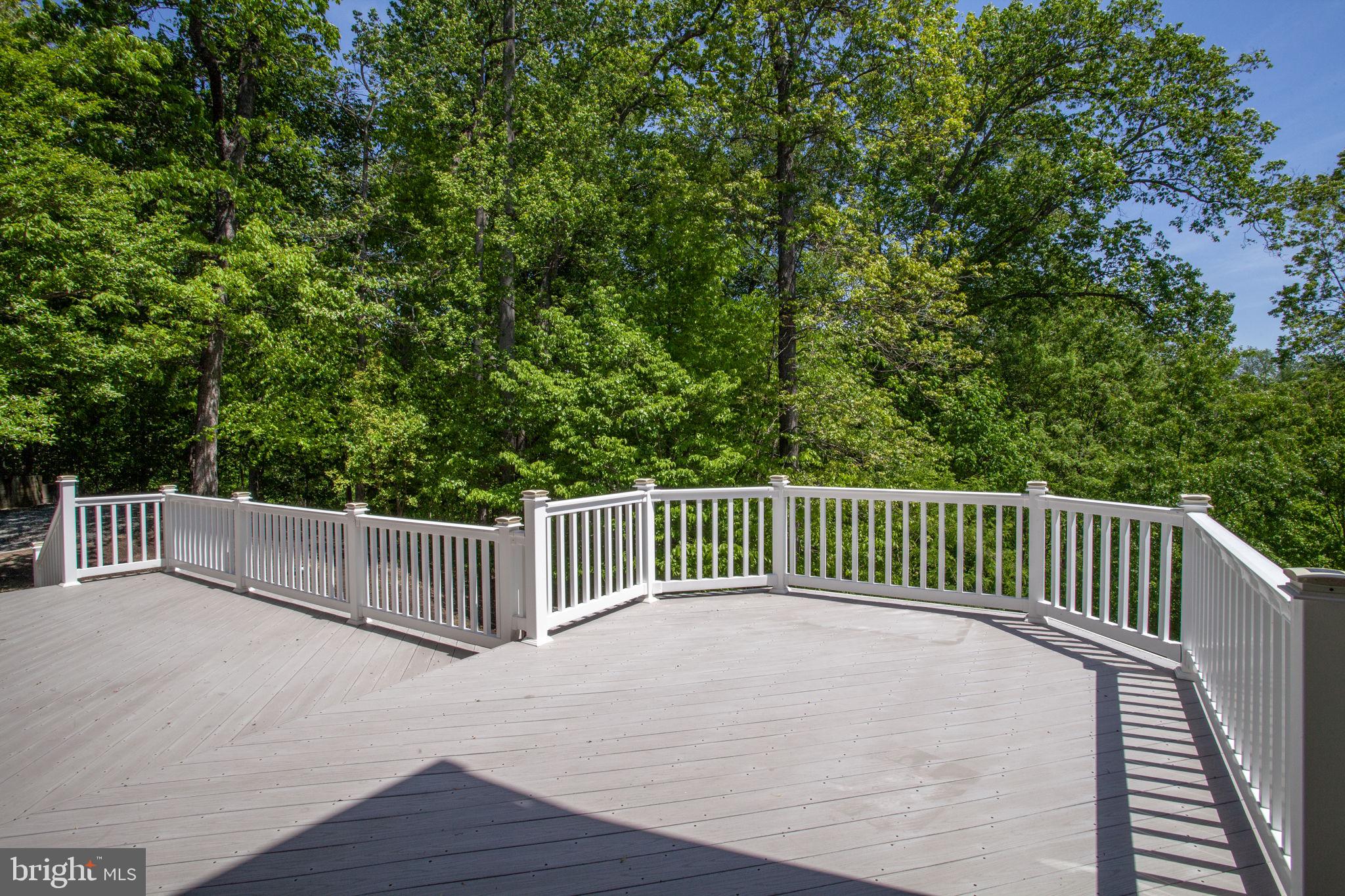 70 Sentinel Ridge Lane Stafford, VA 22554 - Photo 46 of 53
