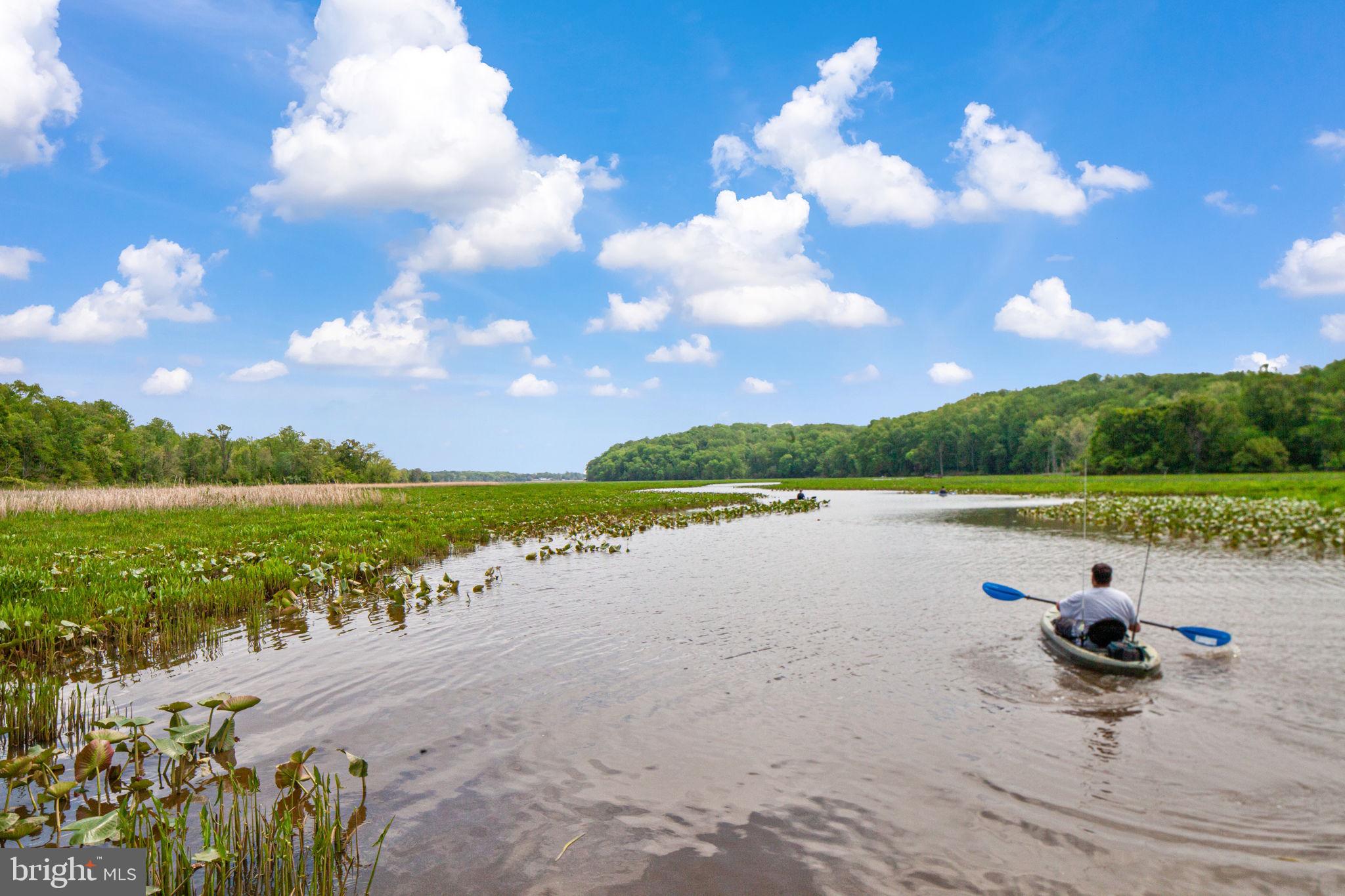 70 Sentinel Ridge Lane Stafford, VA 22554 - Photo 52 of 53 a view of a lake