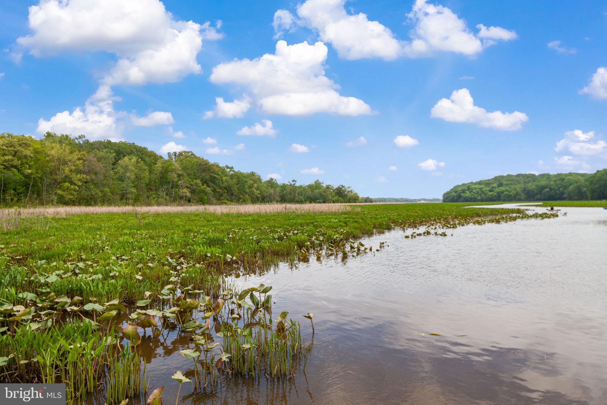 70 Sentinel Ridge Lane Stafford, VA 22554 - Photo 53 of 53 a view of a lake