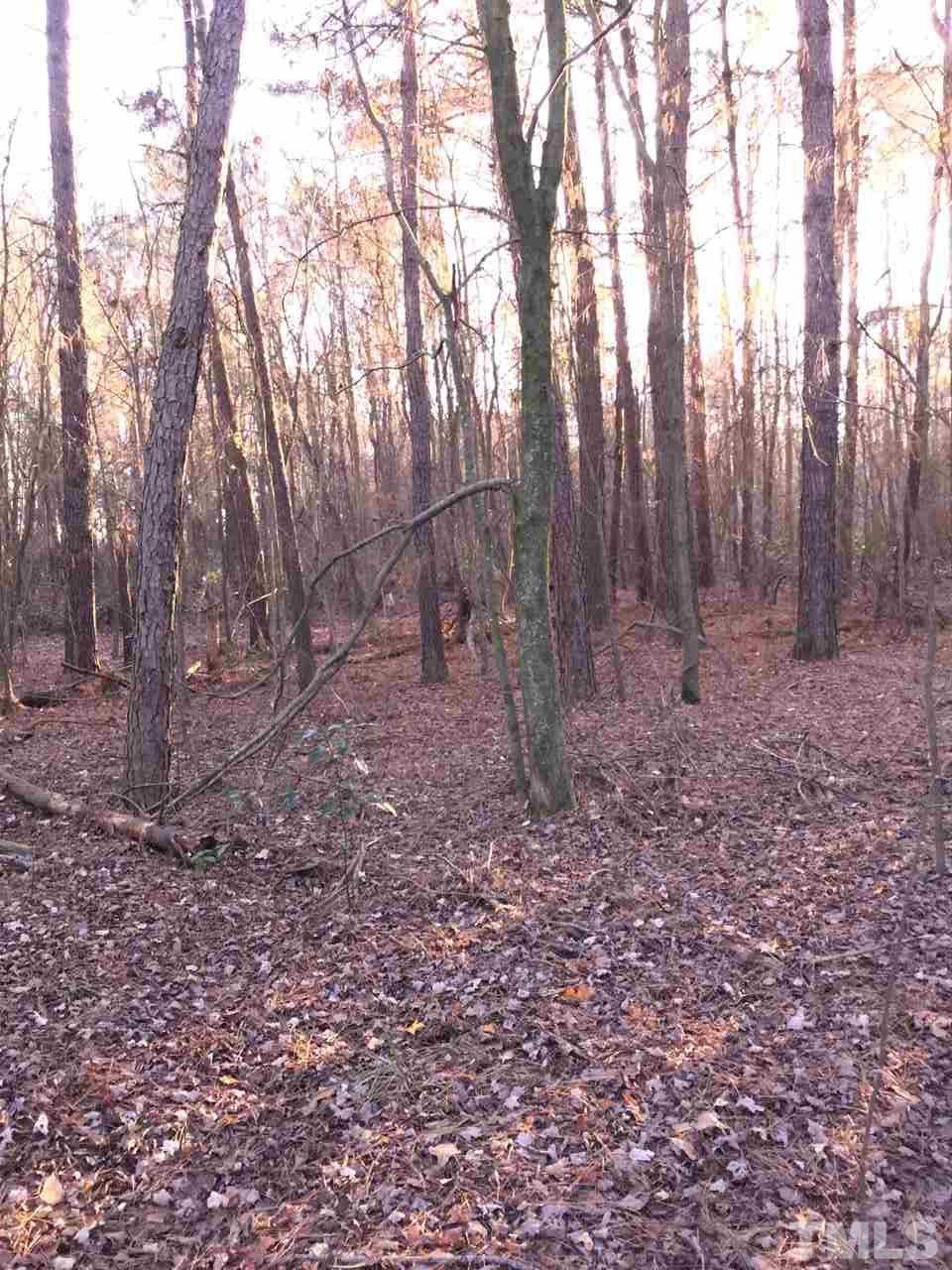 11440 Keener Road Faison, NC 28341 - Photo 11 of 18