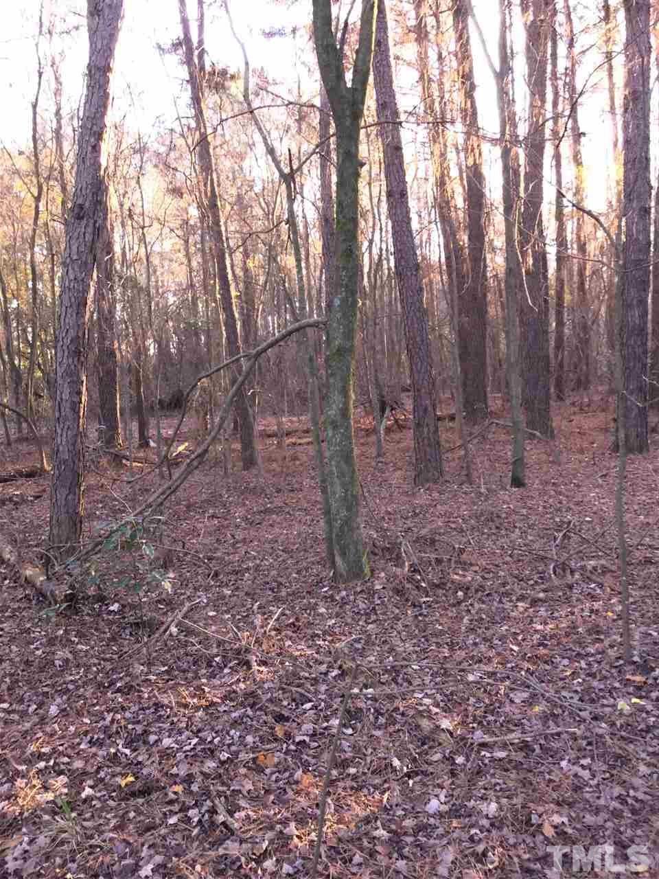 11440 Keener Road Faison, NC 28341 - Photo 12 of 18