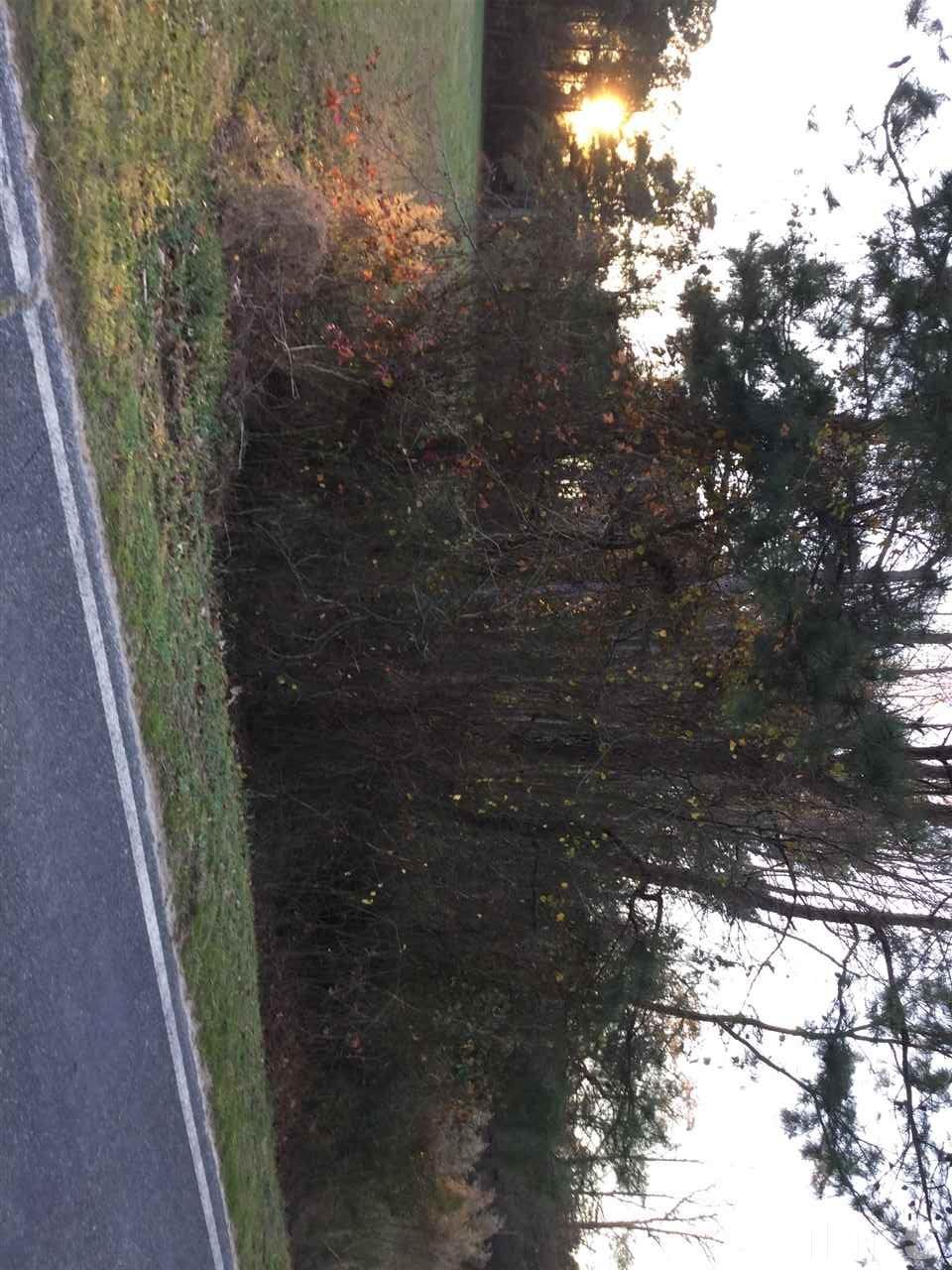 11440 Keener Road Faison, NC 28341 - Photo 18 of 18