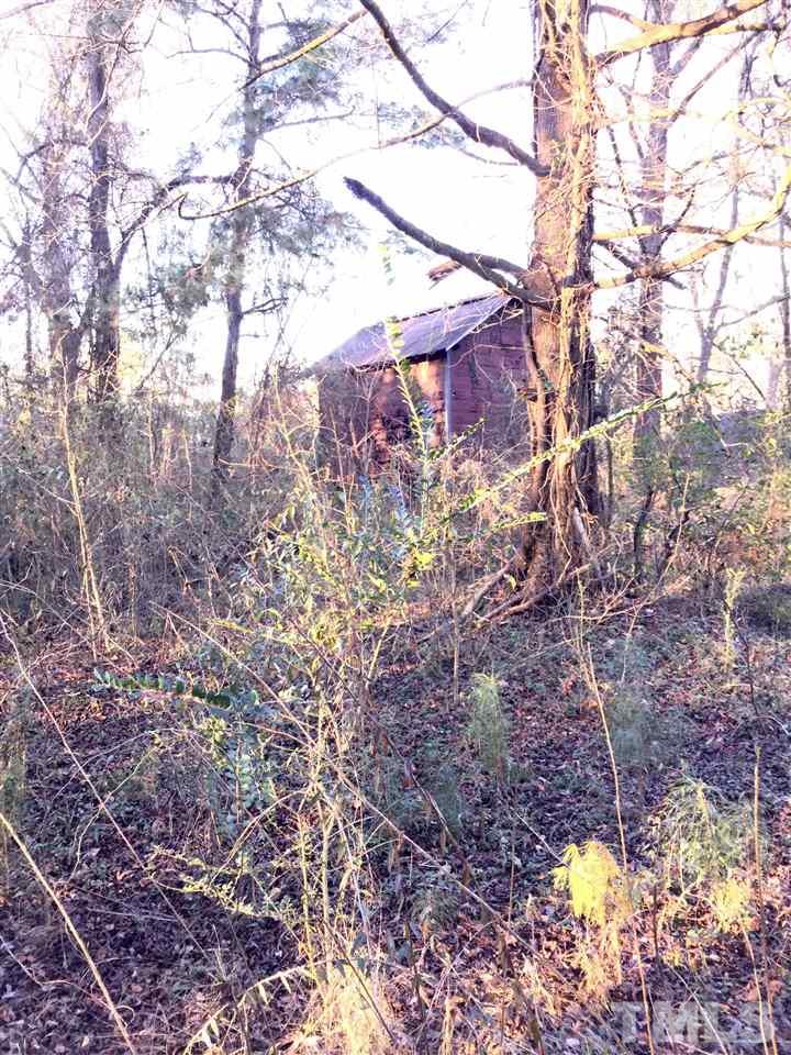 11440 Keener Road Faison, NC 28341 - Photo 10 of 18