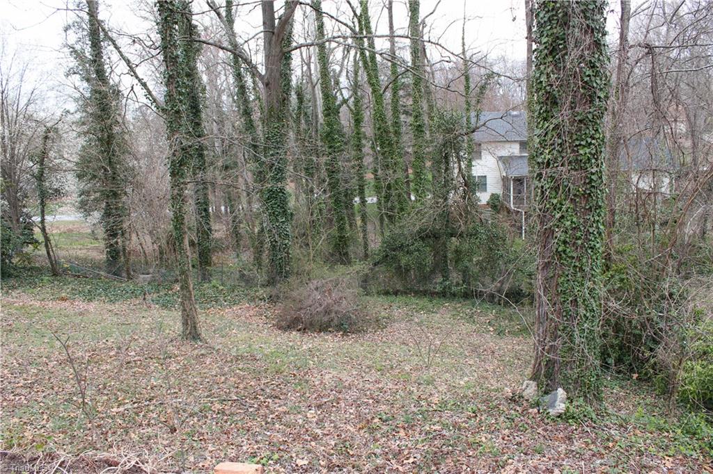 1315 Florida Street High Point, NC 27262 - Photo 21 of 21 Gallery Image 21