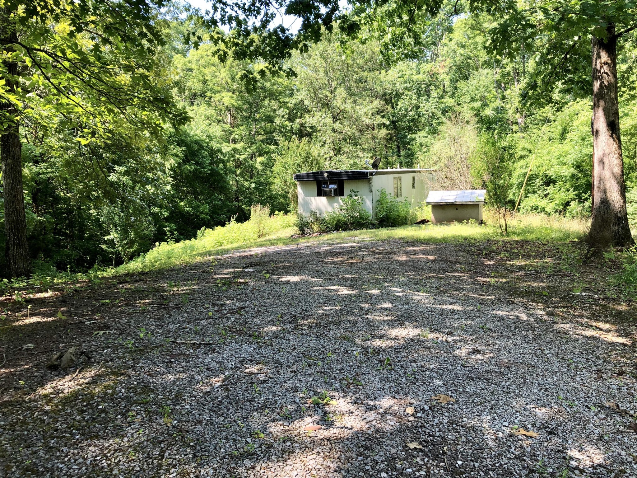 1622 Elkins Road Kodak, TN 37764 - Photo 11 of 11 a view of a house with backyard and trees