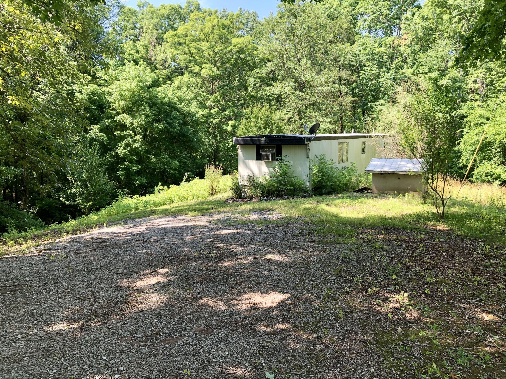 1622 Elkins Road Kodak, TN 37764 - Photo 3 of 11 a backyard of a house with yard and large trees