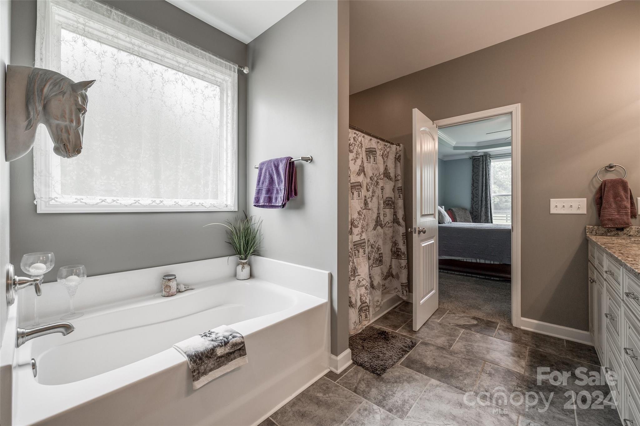 1946 State Rd S-46-168 York, SC 29745 - Photo 27 of 38 a spacious bathroom with a bathtub and a shower
