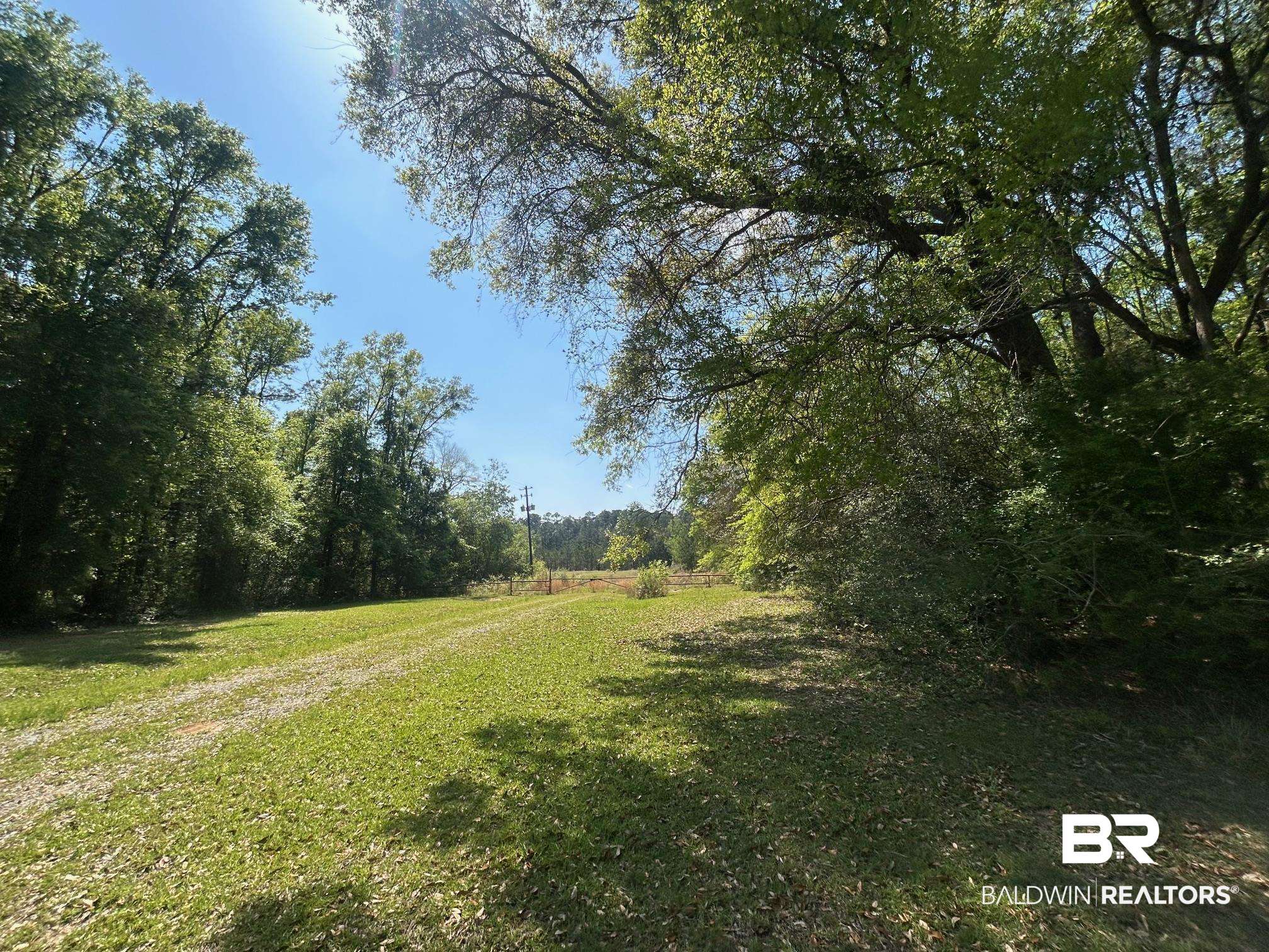 0 I-65 Service Road Satsuma, AL 36572 - Photo 26 of 27 View of yard with a view of trees