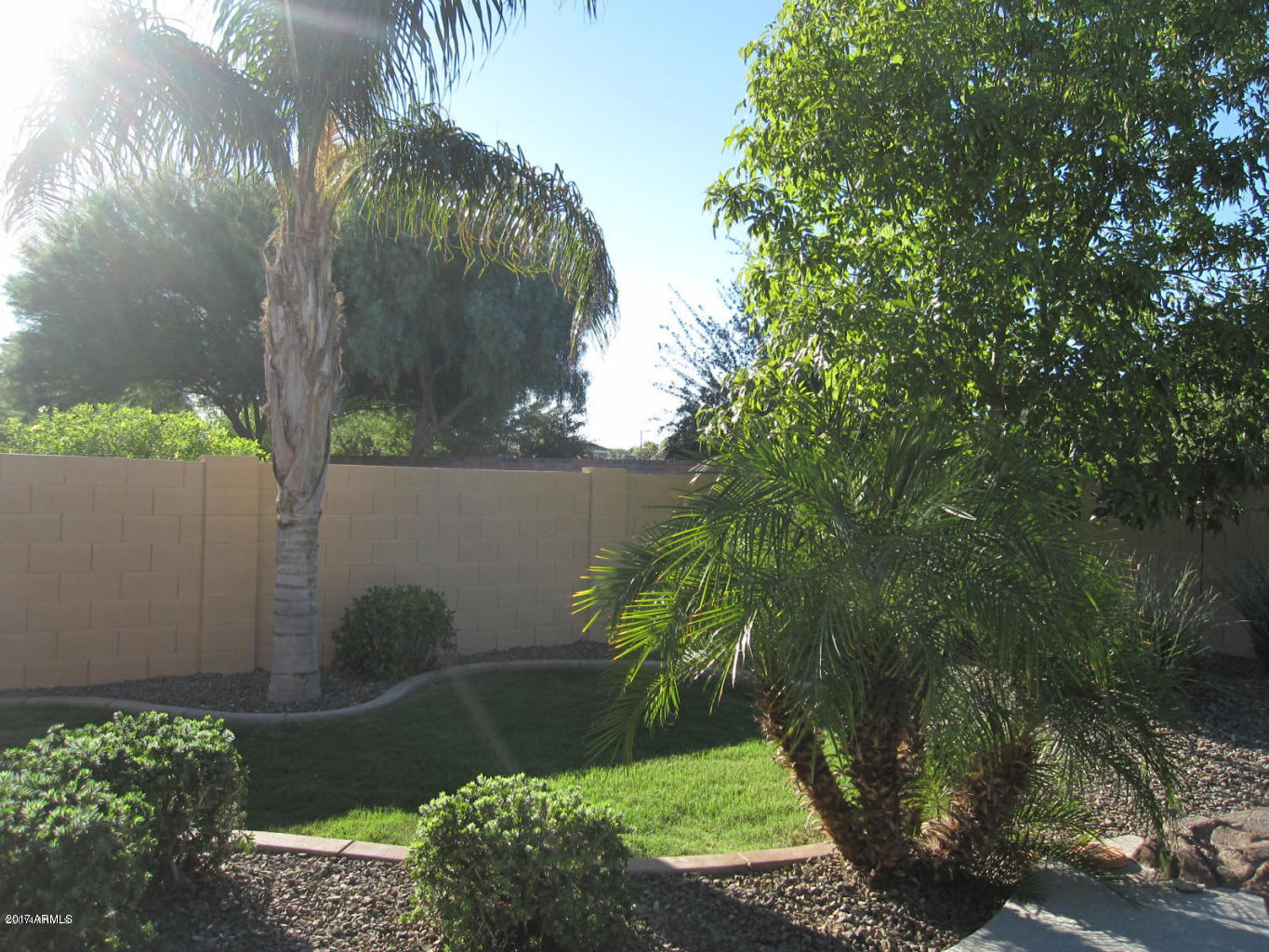 14128 West Bloomfield Road Surprise, AZ 85379 - Photo 24 of 27 20160108165552891849000000-o
