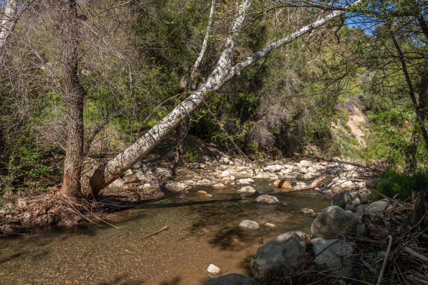 15663 Ojai Road Santa Paula, CA 93060 - Photo 43 of 47 a view of water with large trees