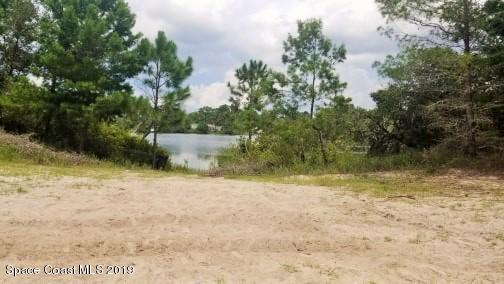 4165 Hog Valley Road Mims, FL 32754 - Photo 3 of 24 68249257_638857393274253_266898471458858