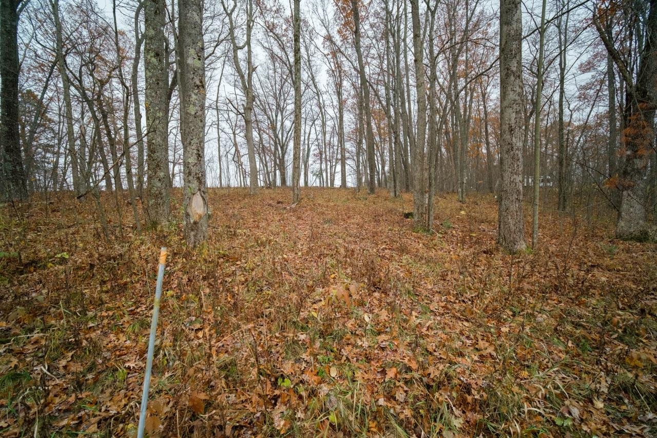 11 Hunters Ridge Drive Irons, MI 49644 - Photo 10 of 38 1895563-9.JPG