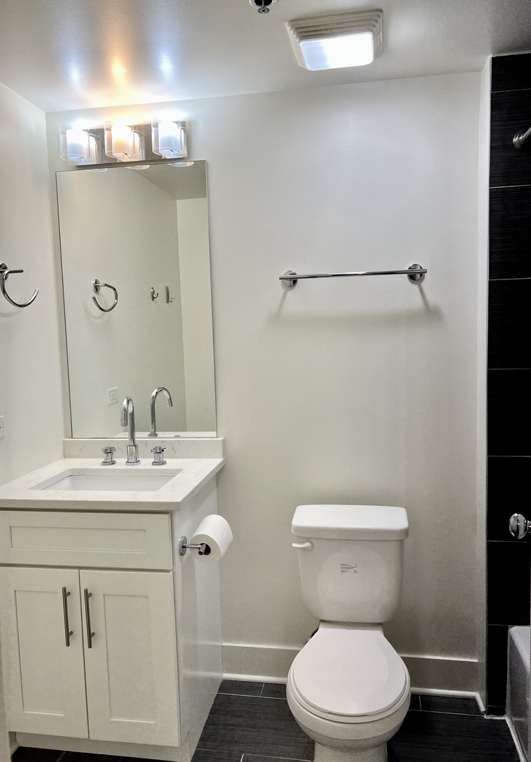 50 East 16th Street, Unit 1107 Chicago, IL 60616 - Photo 14 of 20