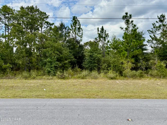 $17,000 | 0 Elkcam Boulevard, Chipley, FL 32428
