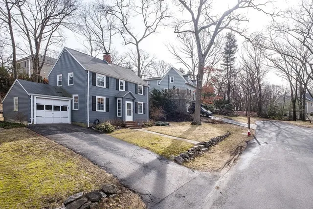 a street view with large trees