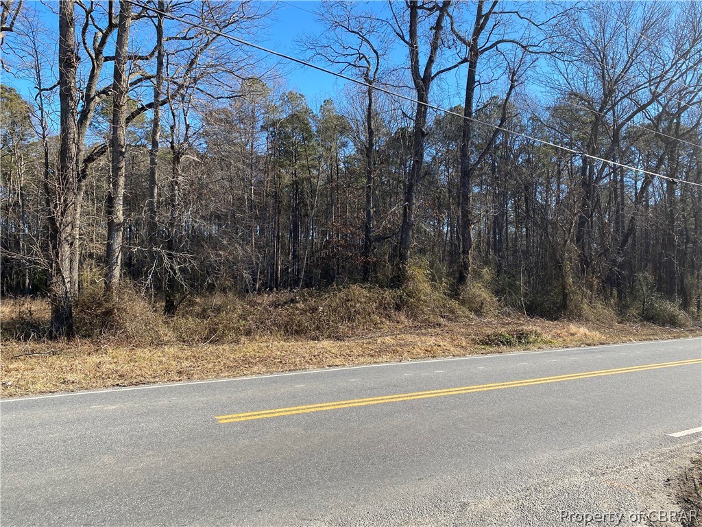 0 Mosquito Point Road White Stone, VA 22578 - Photo 11 of 13