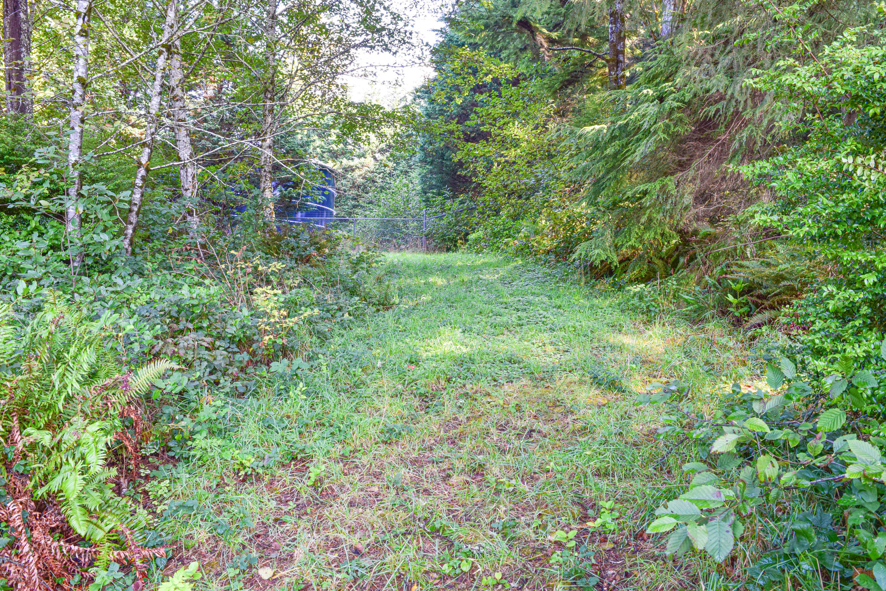 3174 Northeast East Line Road Yachats, OR 97498 - Photo 7 of 12 East Line