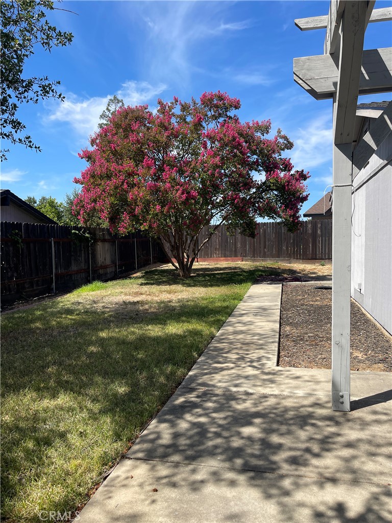 8317 Keyesport Way Citrus Heights, CA 95610 - Photo 24 of 28 a view of a garden