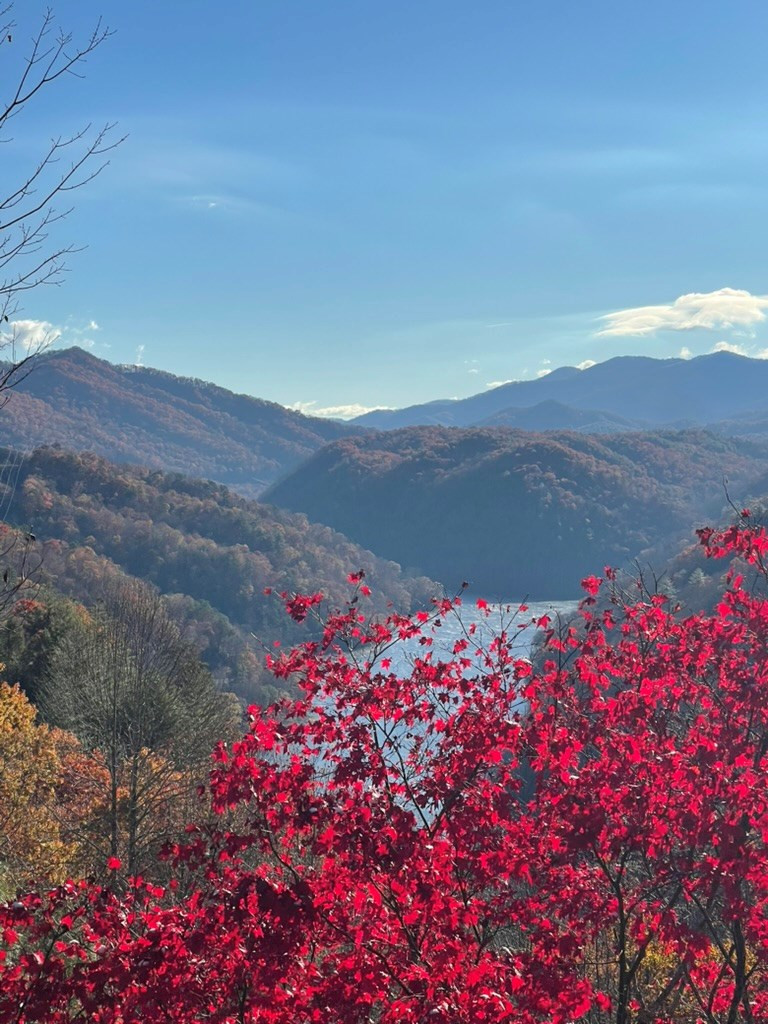 354 Deals Gap Road Robbinsville, NC 28771 - Photo 60 of 62
