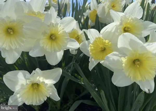 $320,000 | 449 Grouse Court West, New Hope, PA 18938