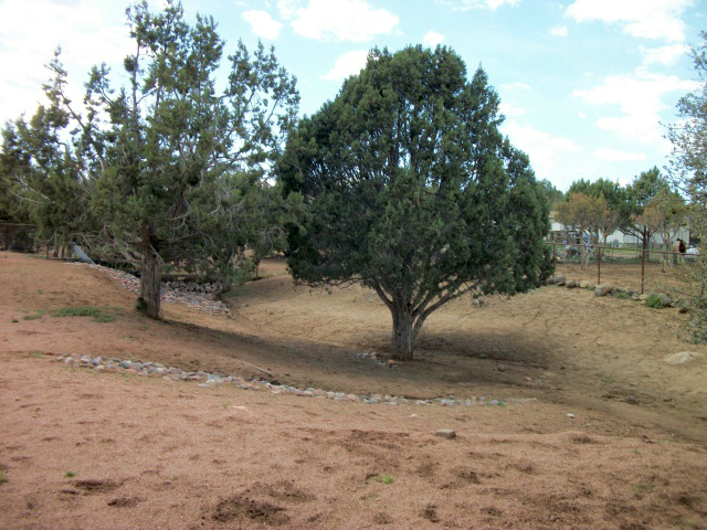 419 West Upper Round Valley Road Payson, AZ 85541 - Photo 24 of 24 Gallery Image 24
