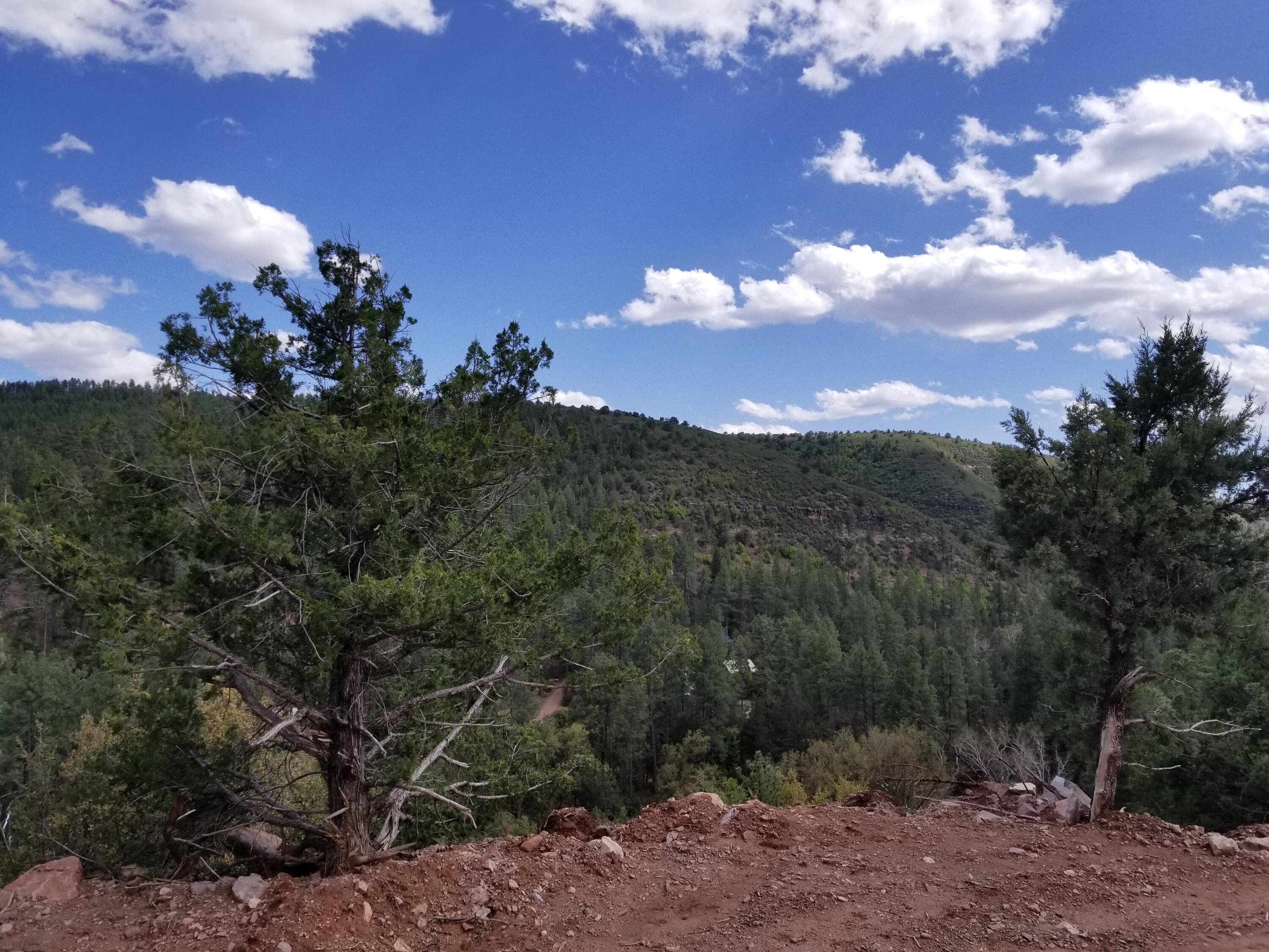 17033 Control Road Payson, AZ 85541 - Photo 27 of 28