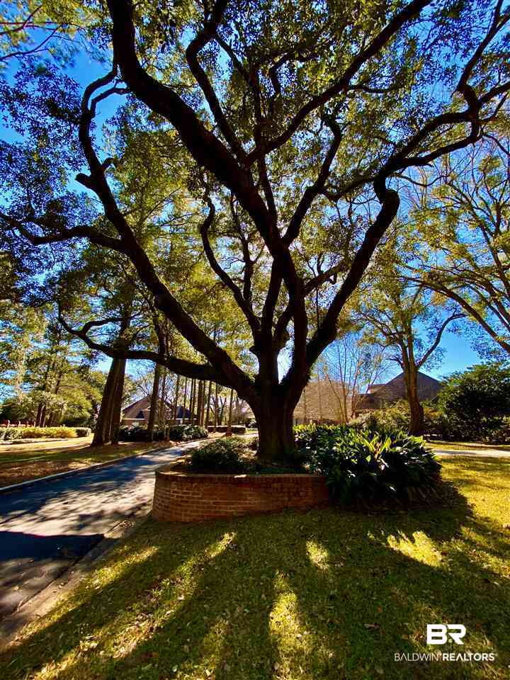 506 Potters Mills Road Daphne, AL 36526 - Photo 35 of 50