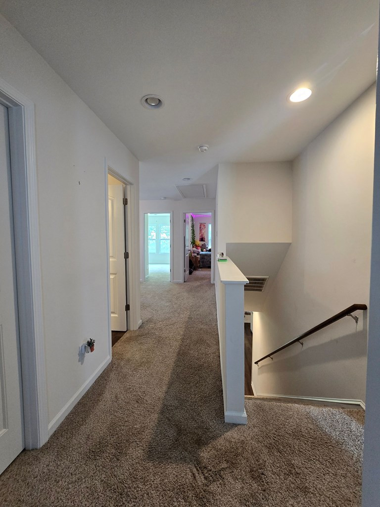 165 Whitetail Circle Sumter, SC 29154 - Photo 13 of 39 Photo 13