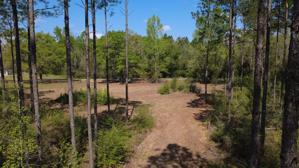 Lot 2 South County Road Slocomb, AL 36375 - Photo 12 of 19