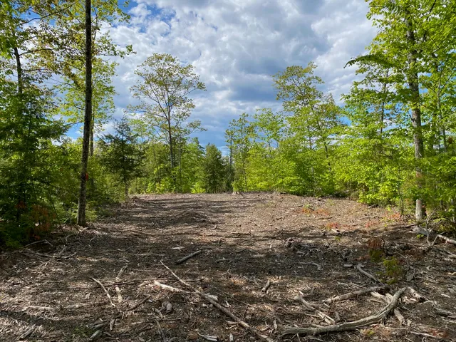 $1,295,000 | 0 Ossipee Trail East, Gorham, ME 04038