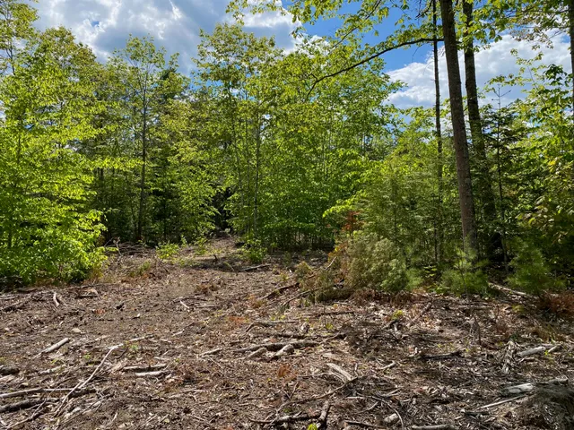 $1,295,000 | 0 Ossipee Trail East, Gorham, ME 04038