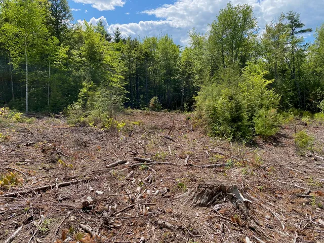 $1,295,000 | 0 Ossipee Trail East, Gorham, ME 04038