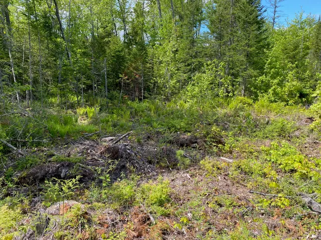 $1,295,000 | 0 Ossipee Trail East, Gorham, ME 04038