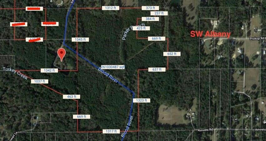 0 South Herman Bankston Road Albany, LA 70711 - Photo 2 of 4 Gallery Image 2