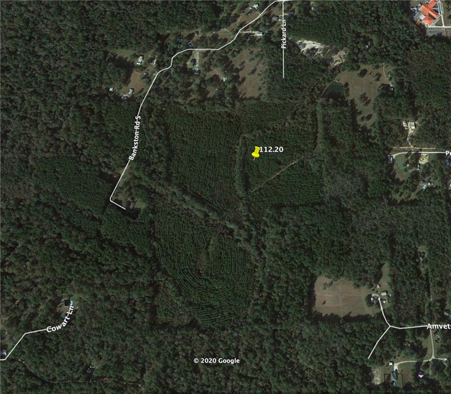0 South Herman Bankston Road Albany, LA 70711 - Photo 4 of 4 Gallery Image 4